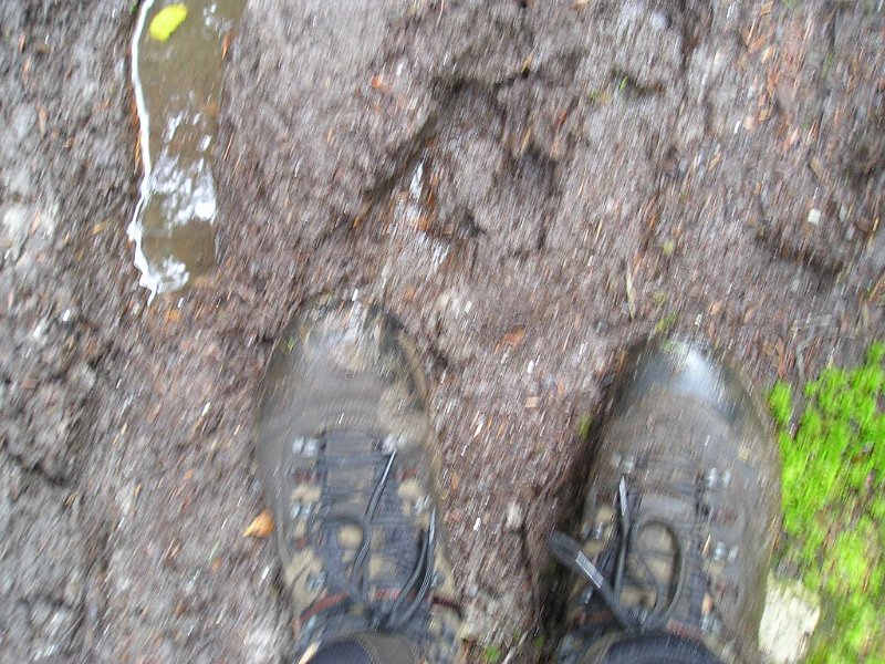 MtSuccess 044.JPG - It was really deep. Overall though we had a good hike and would like to go back some day and find the plane crash.